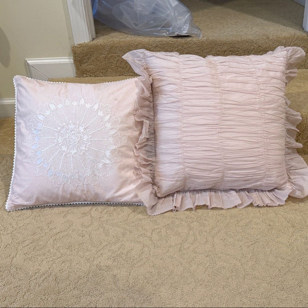 Land Of Nod Blush Pink Pillow Duo